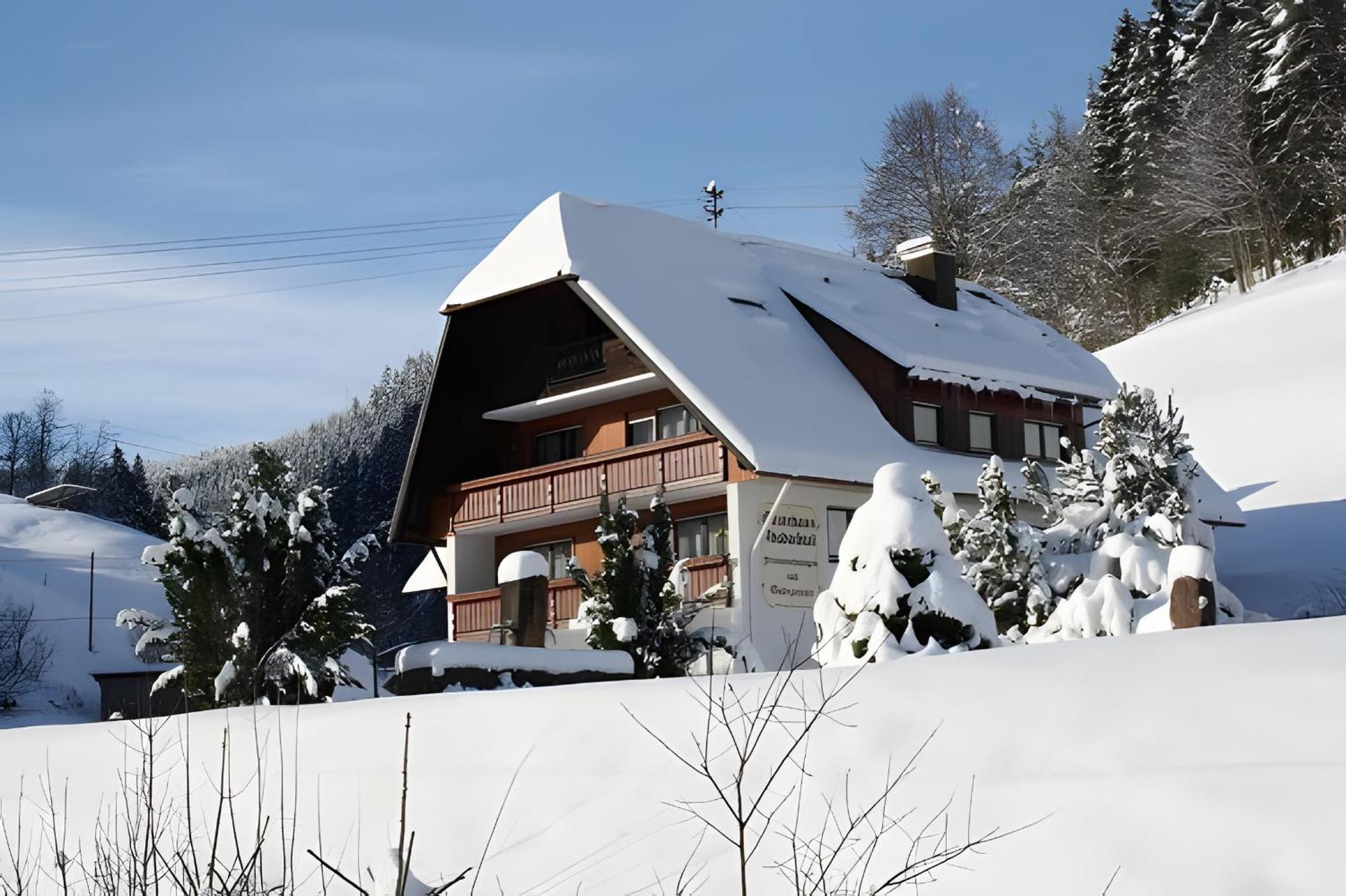Gaestehaus Absbachtal Bad Rippoldsau-Schapbach Ngoại thất bức ảnh